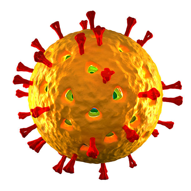 Virus gây bệnh là dạng Reovirus