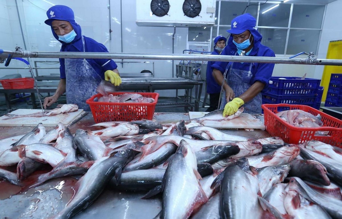 EU: Thị trường XK thủy sản lớn thứ 4 của Việt Nam